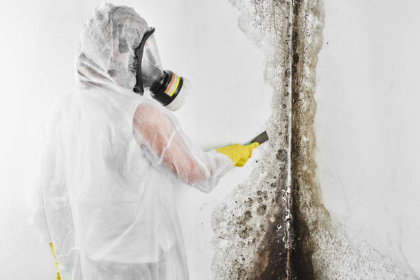 Best Mold Damage Repair  in Legend Lake, WI