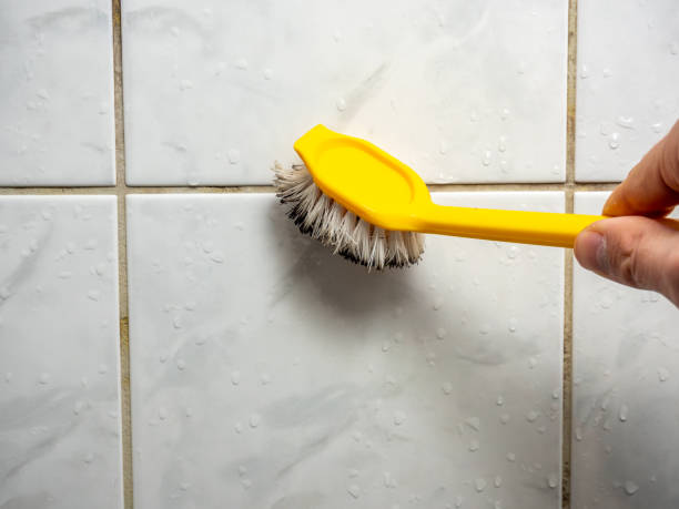 Best Mold Damage Repair  in Legend Lake, WI