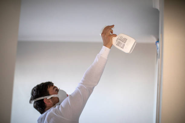 Best Mold Remediation Services  in Legend Lake, WI