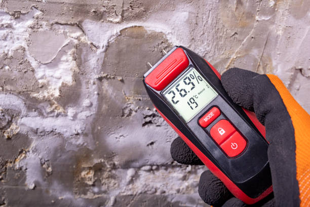 Best Fast Mold Removal  in Legend Lake, WI