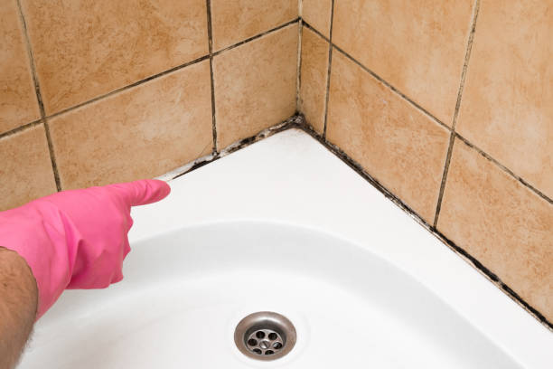 Best Office Mold Removal Services  in Legend Lake, WI